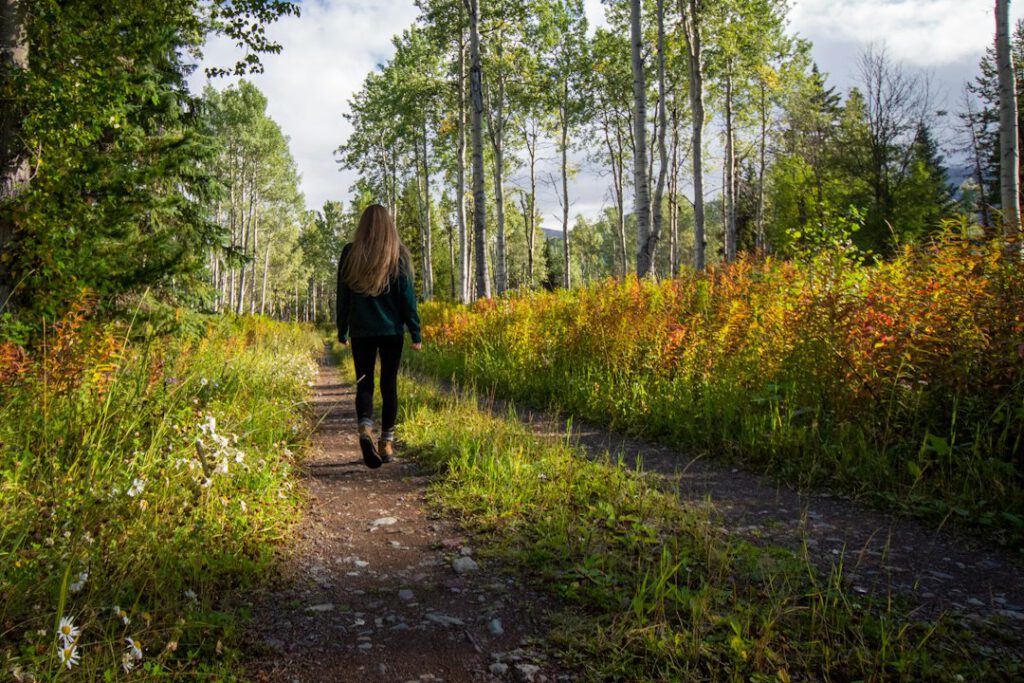 Person auf einem ruhigen Weg zwischen Bäumen